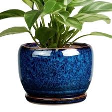 FLORA Hand-Glazed Matte Ceramic Pot with Saucer (8-Inch)